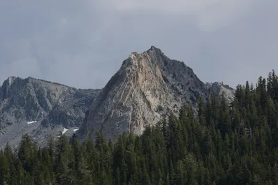 DSC_2982 (Large).JPG